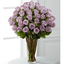 Lavender Love - 36 Stems In Vase